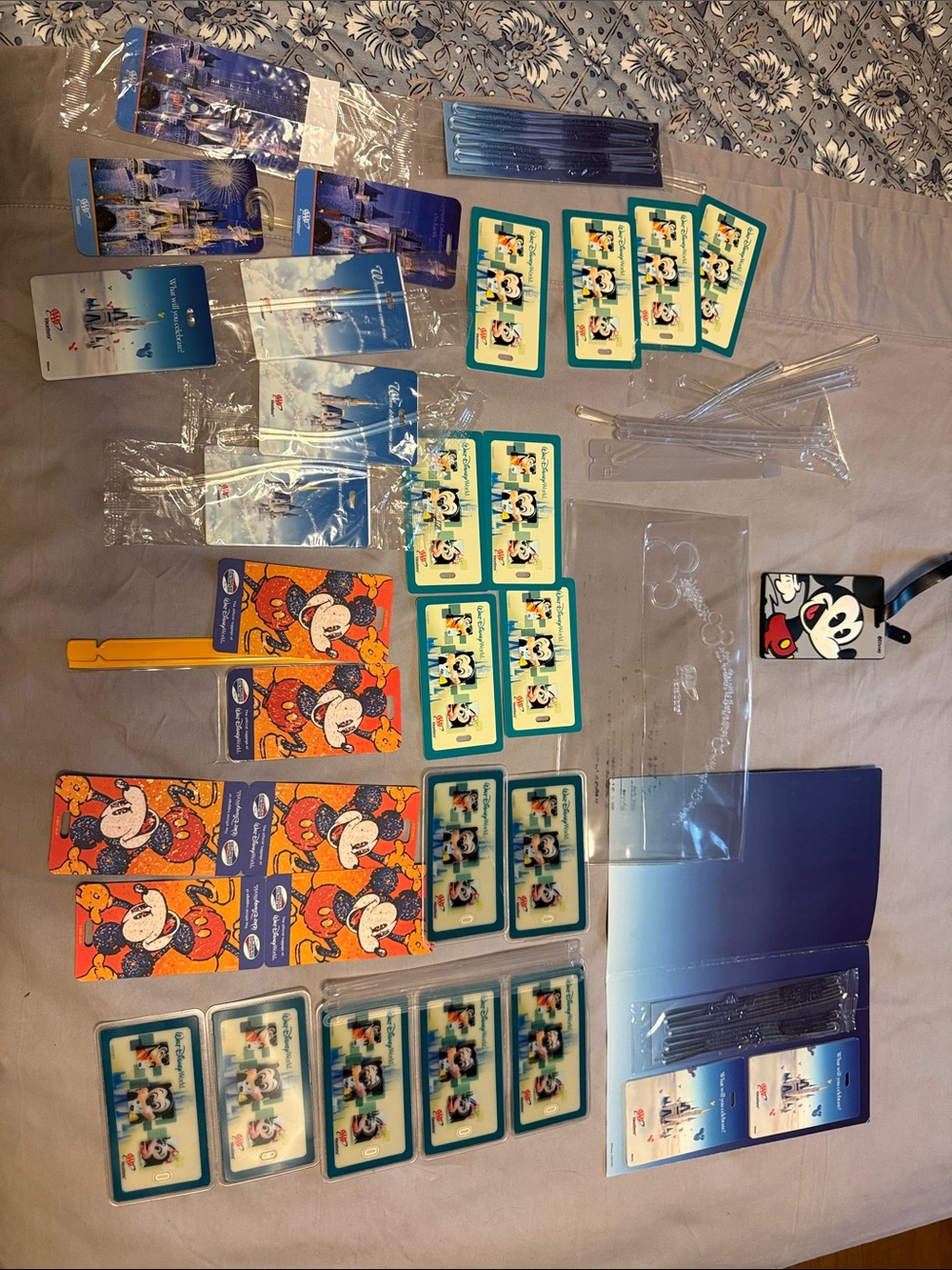 Disney Castle Ticket-Style Cards and Luggage Tag Set - Blue, White